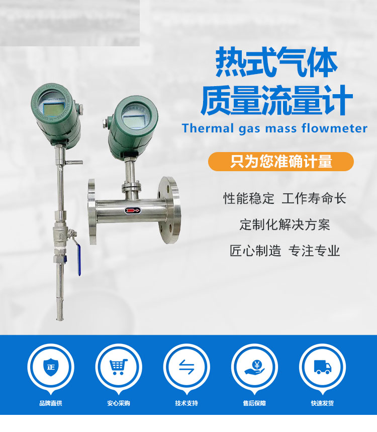 热式气体质量流量计详情页_01.jpg